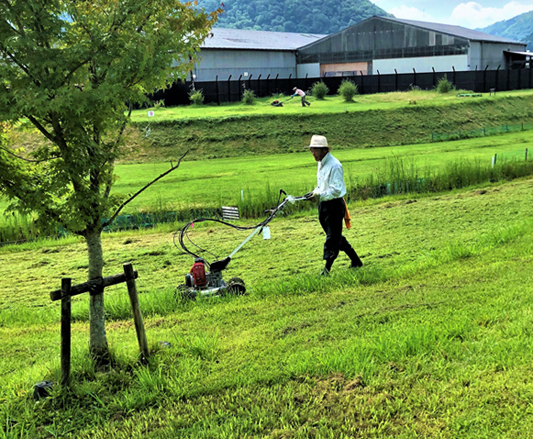 �{�m�����p�[�N�S���t��ʐ^2